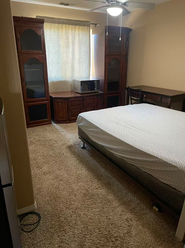 26256 Palm Tree Lane - Photo 2 of 9