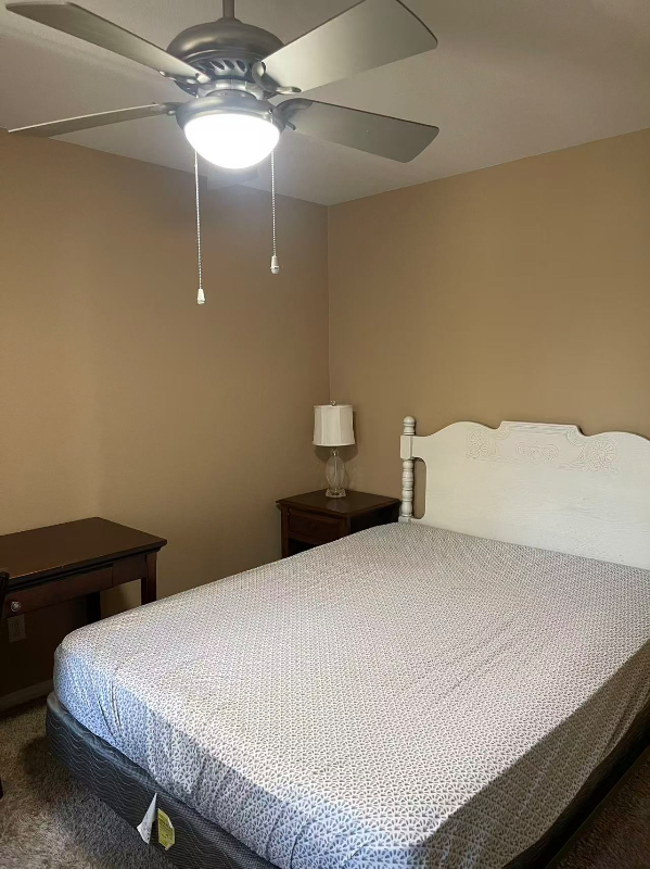 26256 Palm Tree Lane - Photo 3 of 9