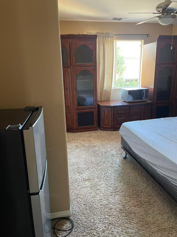 26256 Palm Tree Lane - Photo 6 of 9