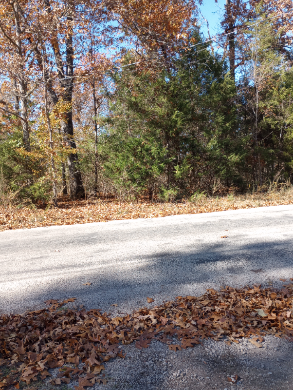 135 Sturgeon #1 - Photo 3 of 11