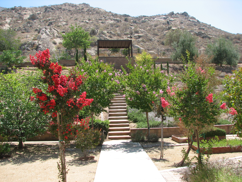 7068 Laban Ln - Photo 5 of 14