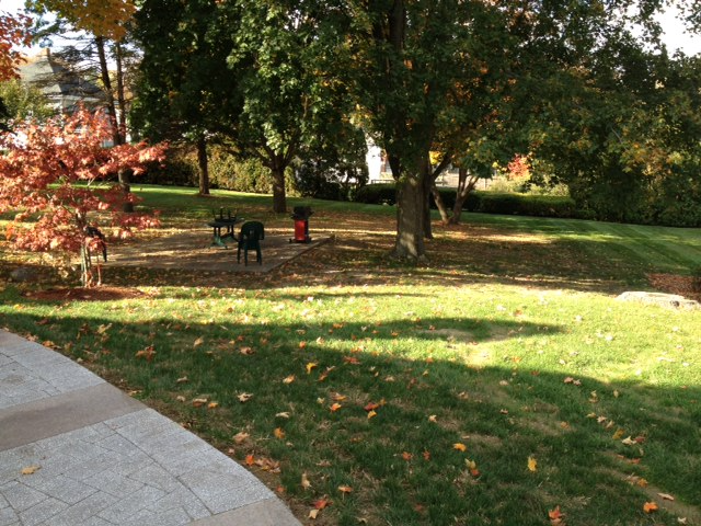 77 Purchase Street #1 - Photo 5 of 14