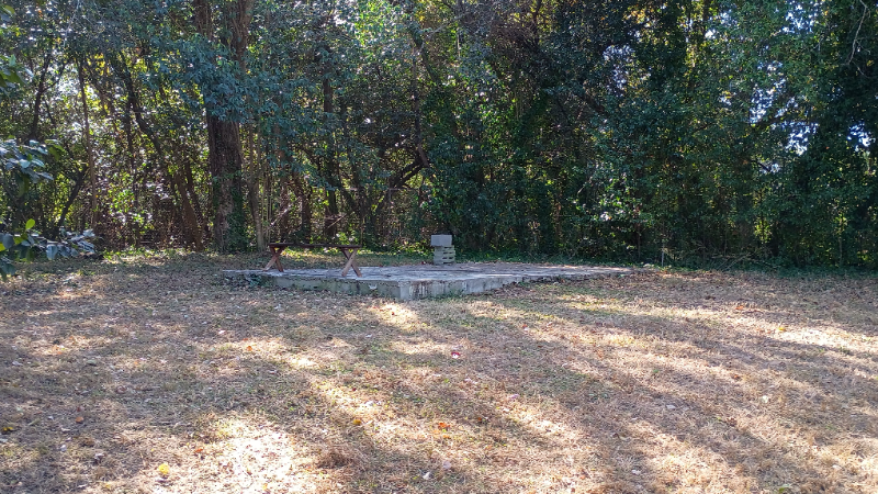 3566 Mckenzie Dr - Photo 5 of 20