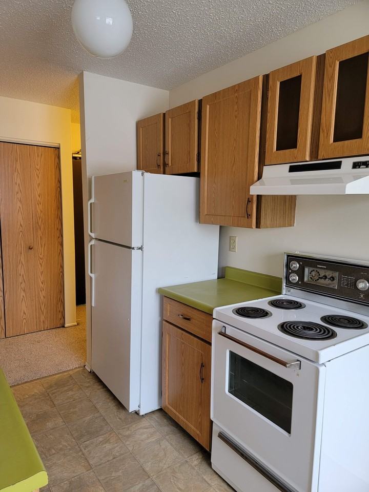 The Pines 10017 106 Avenue - Photo 3 of 6