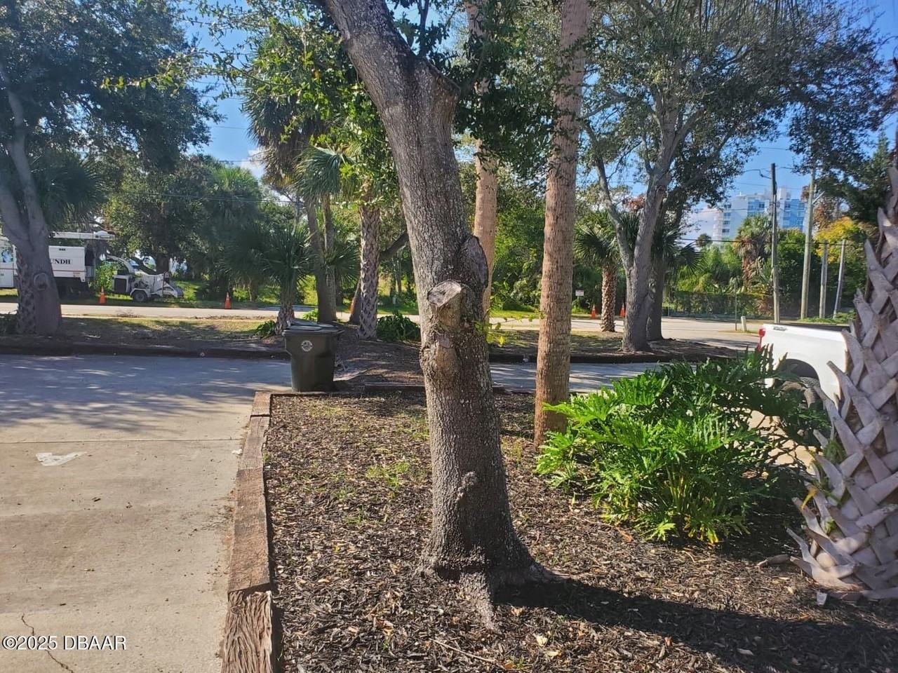 814 N Halifax Ave - Photo 3 of 15