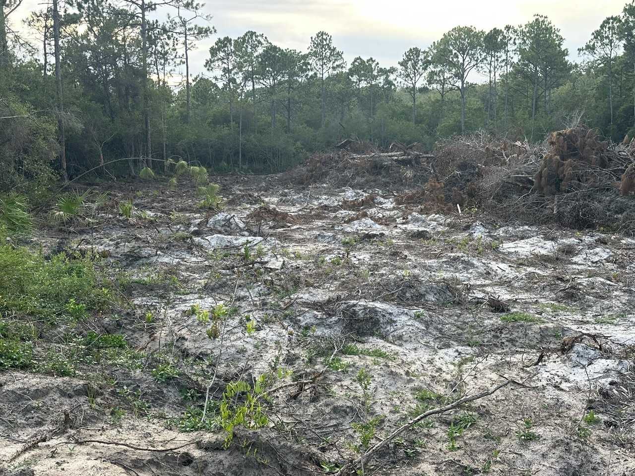 Martin Luther King Jr Blvd - Photo 6 of 13