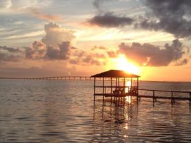 1674 J D Miller Road - Photo 1 of 1