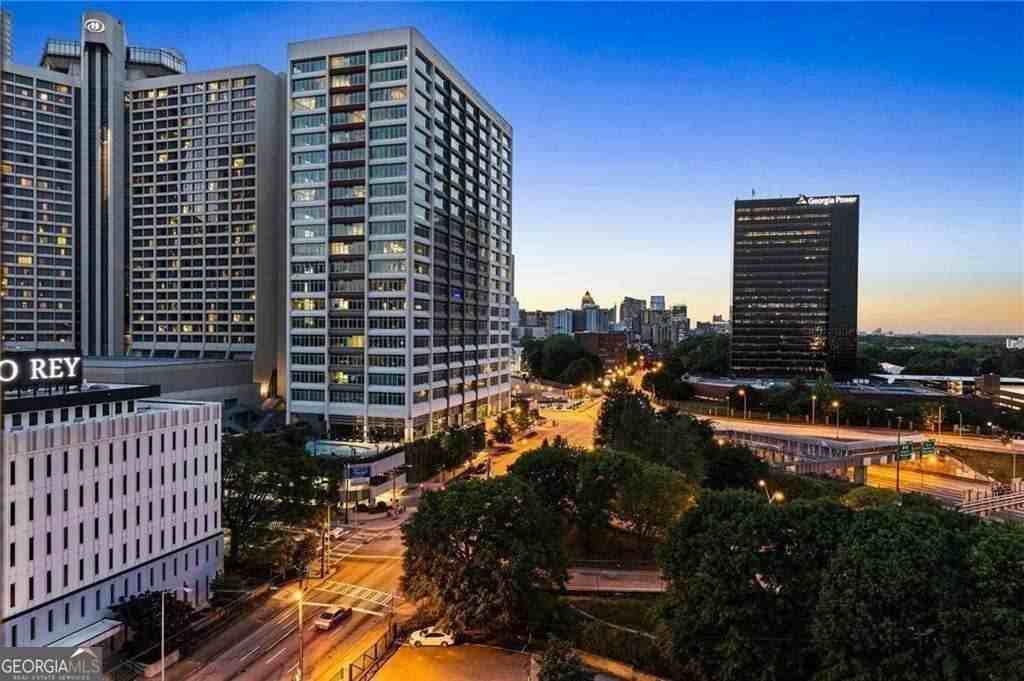 215 Piedmont Ave Ne Apt 1109 #1109 - Photo 3 of 41