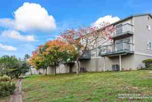 featured image of 25071 Oakridge Court