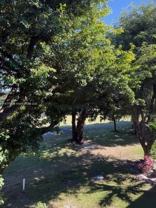 251 Southwest 132nd Way #308H - Photo 1 of 1