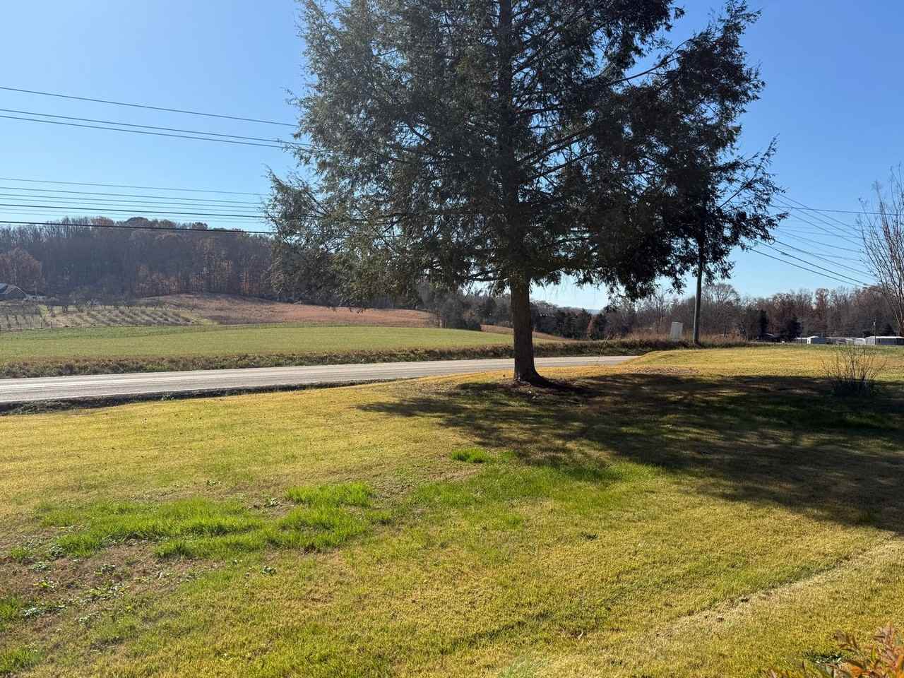 1504 Muddy Creek Road - Photo 7 of 39