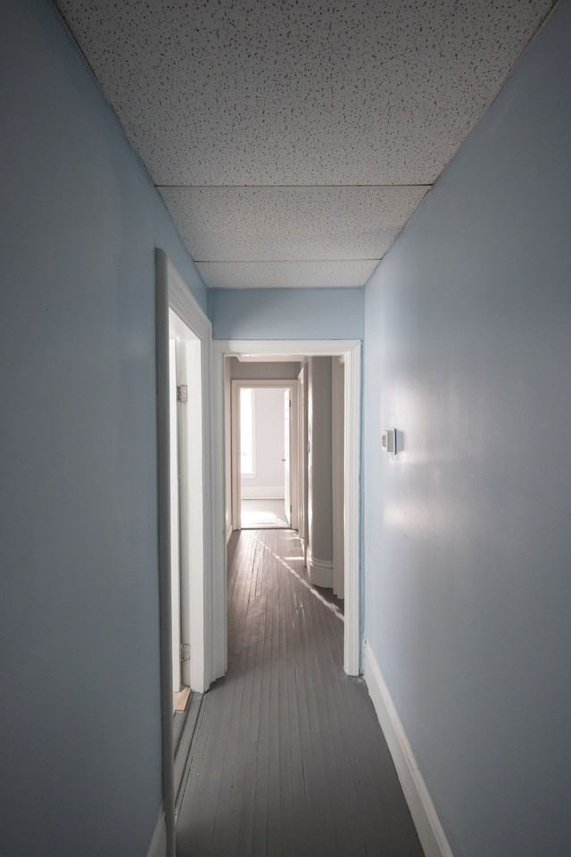 10 Sycamore St Apt 2 - Photo 6 of 8