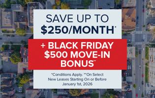 featured image of 260 Dalhousie Street