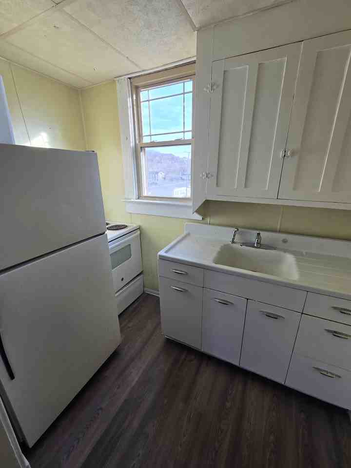 906 Putnam Ave - Photo 5 of 6