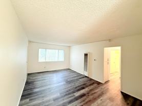 3323 Cazador Street - Photo 1 of 1