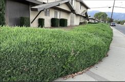 2411 Pattiglen Ave - Photo 1 of 1