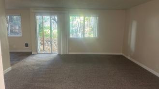 S0637 - Photo 1 of 1