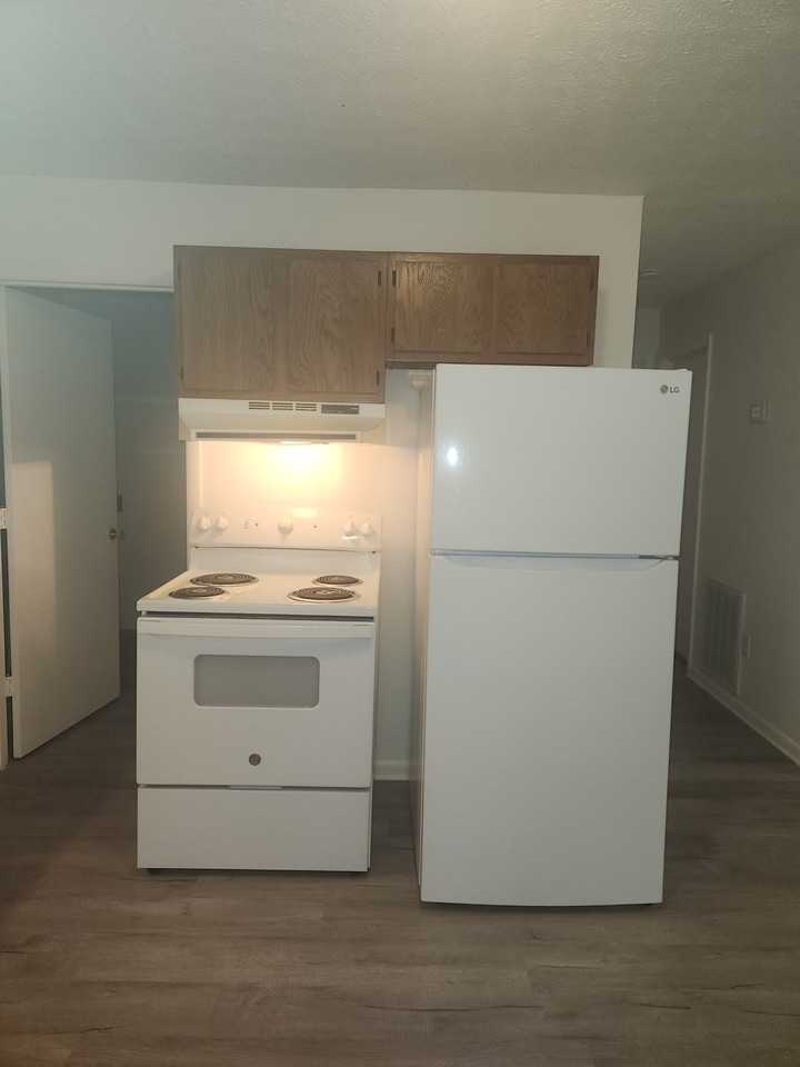 255 Sunshine Lane #4 - Photo 5 of 19