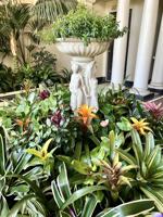 featured image of 2235 Laguna Street #204