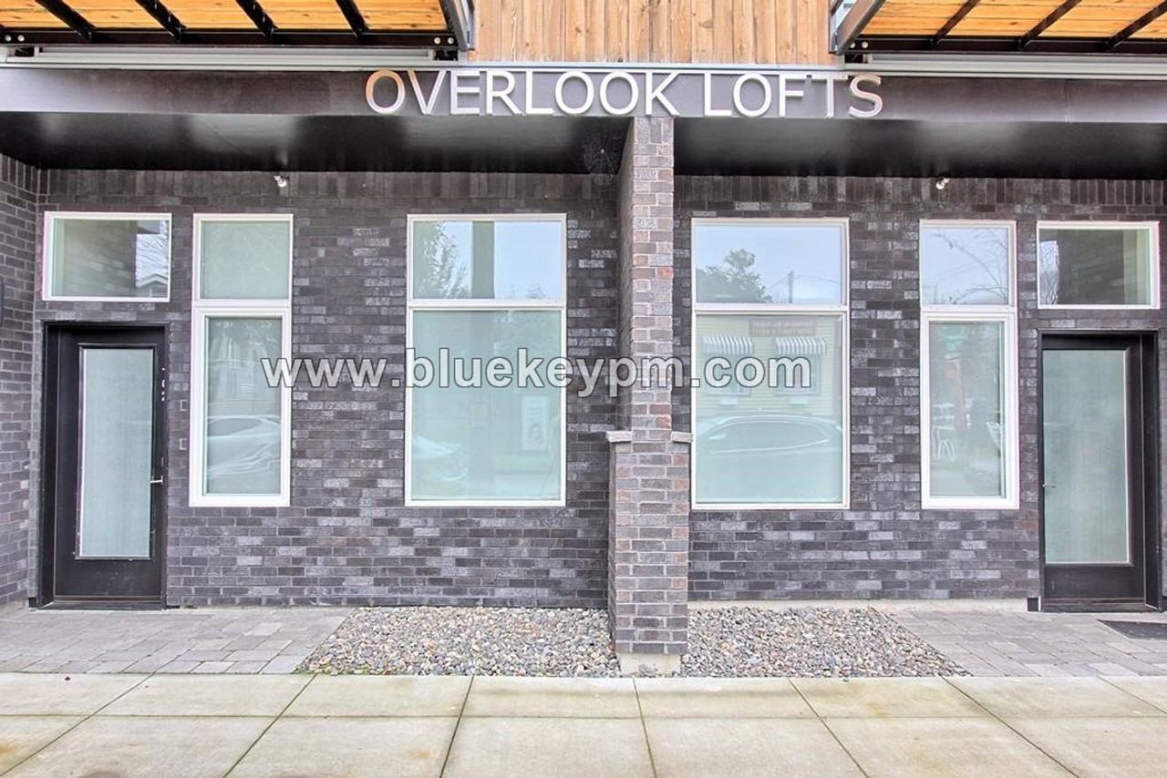 ORYA1515 - Photo 3 of 14