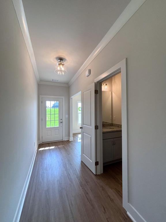 4421 Whitetail Path Cv - Photo 7 of 27