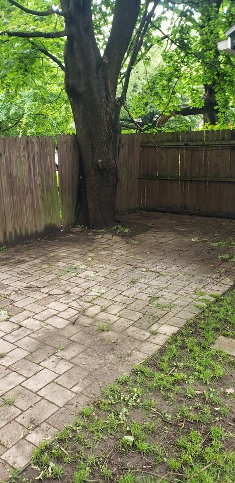 429 S Pitt St #1 - Photo 2 of 19