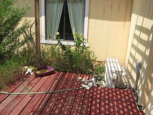 1968 N Willcox Rd - Photo 2 of 22