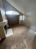 54 Dianthus #54 - Photo 1 of 1