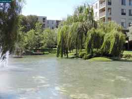 featured image of 310 North Civic Drive