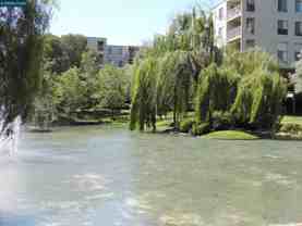 310 North Civic Drive - Photo 1 of 1