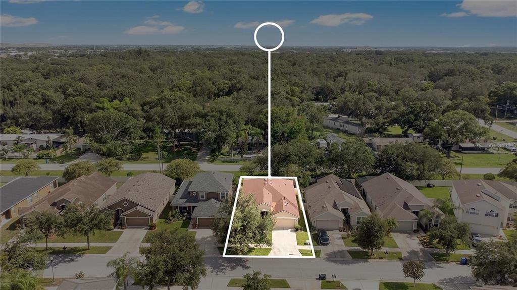 10229 Avelar Ridge Drive #10229 - Photo 5 of 38