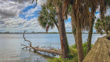 featured image of 225 South Tropical Trail