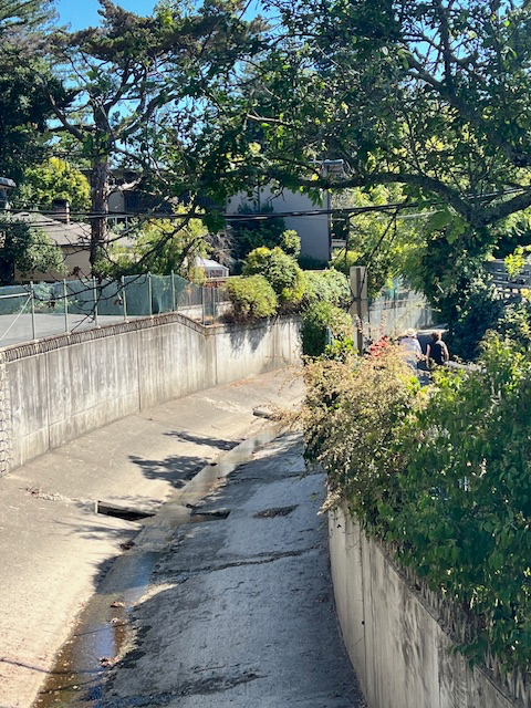 1115 Sir Francis Drake Boulevard - Photo 5 of 17