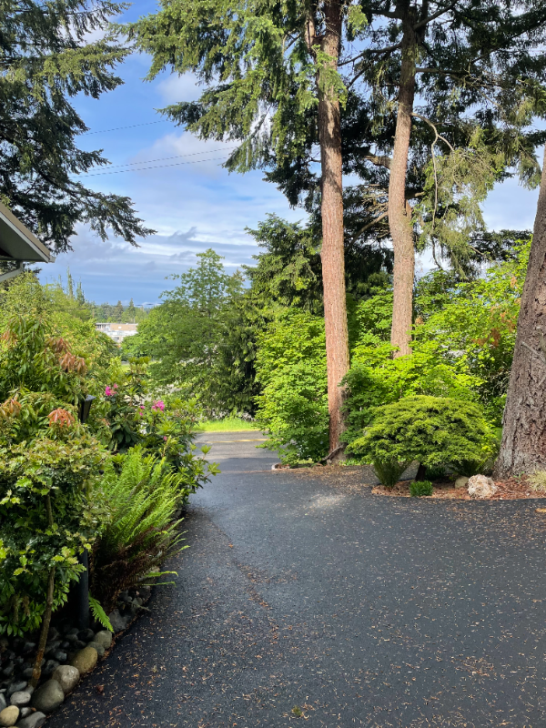 12511 A St S - Photo 2 of 14