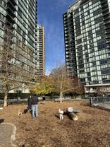 918 Cooperage Way #802 - Photo 1 of 1