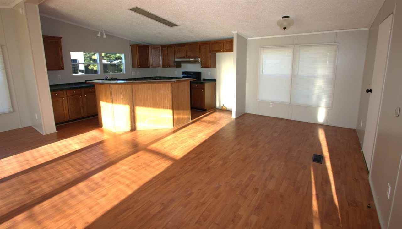 6575 Orchid - Photo 6 of 16