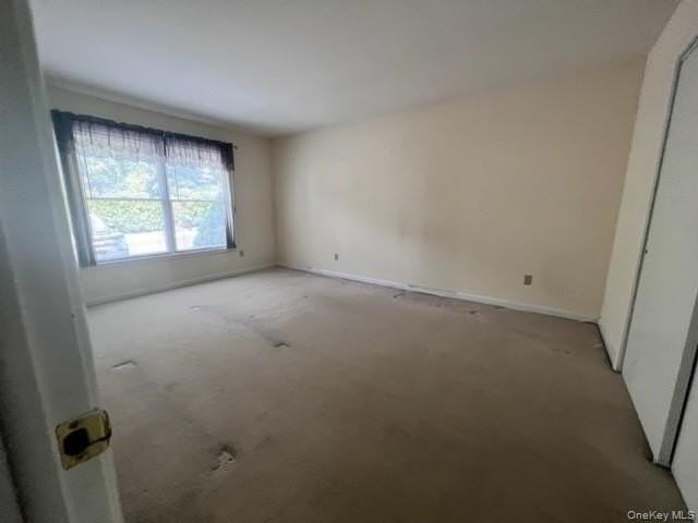 310 Jersey Ave Apt 5 #5 - Photo 4 of 14