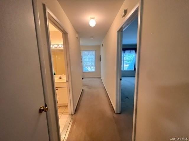 310 Jersey Ave Apt 5 #5 - Photo 6 of 14