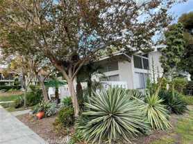 482 Calle Cadiz #D - Photo 1 of 1