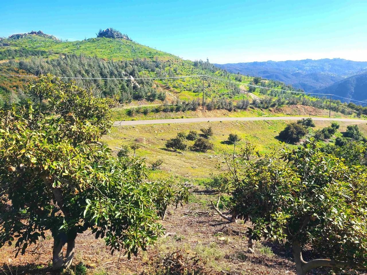 Los Gatos Rd - Photo 3 of 19