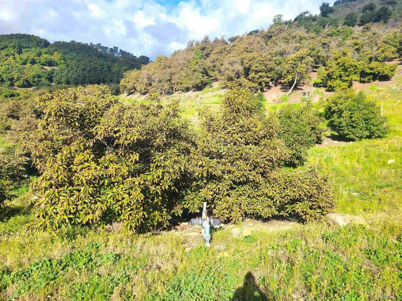 Los Gatos Rd - Photo 4 of 19