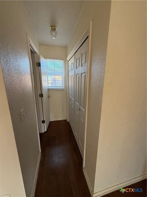 4305 Abigail Dr Apt C #C - Photo 4 of 7