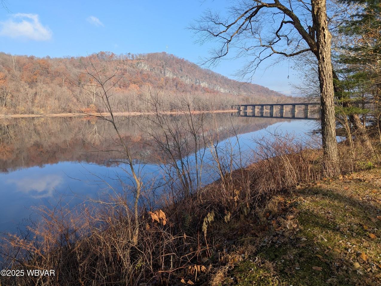 3225 River Rd - Photo 3 of 13