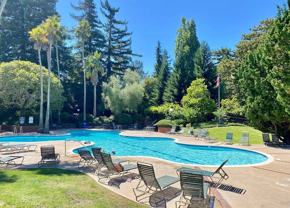 6102 Shelter Creek Ln - Photo 1 of 1