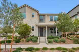 435 Flycatcher - Photo 1 of 1