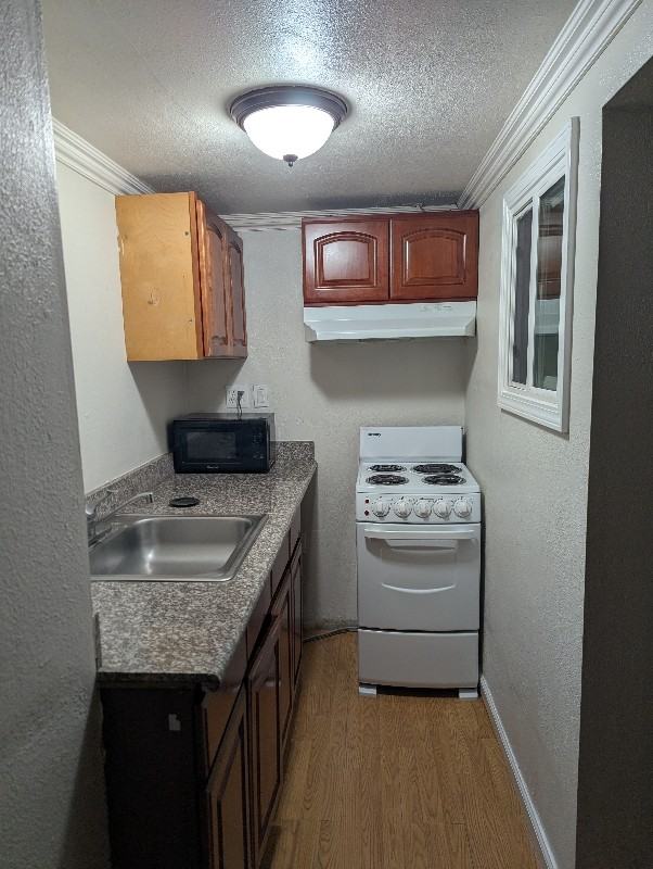 1512 Fruitdale Avenue #1 - Photo 2 of 7