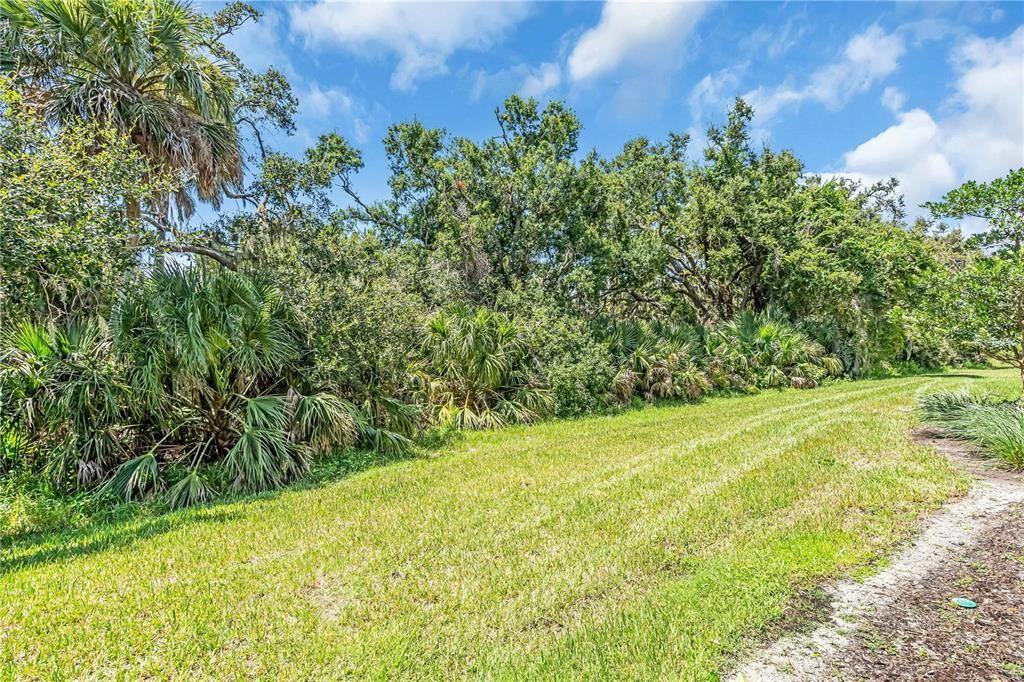 12413 Osorio Ct #12413-101 - Photo 6 of 46