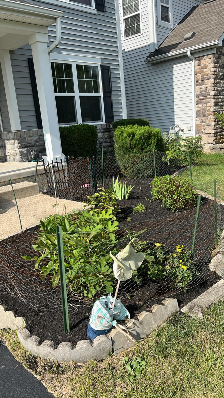 270 Mcelhinny Ln - Photo 3 of 9