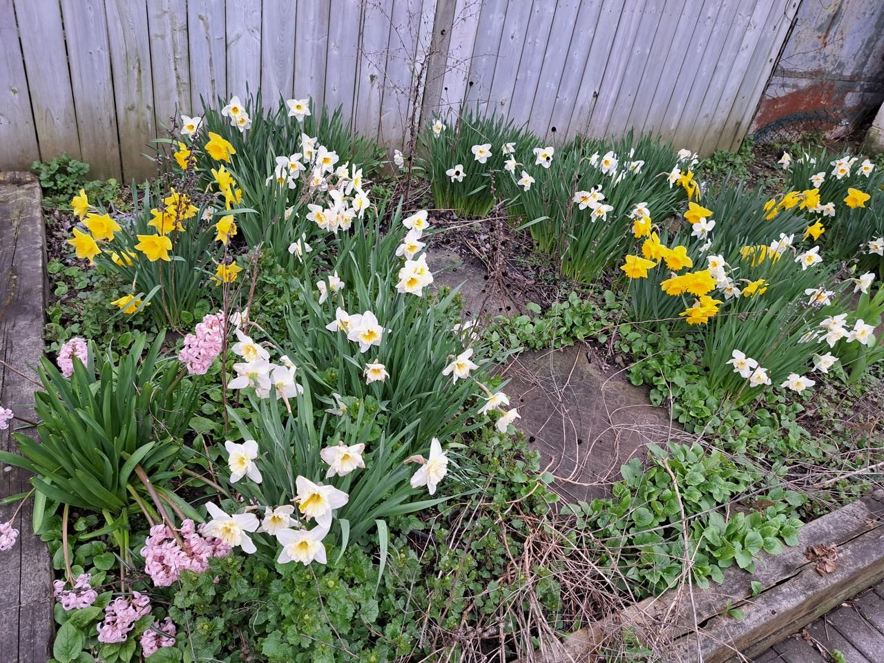 Spadina Ave. & College St - Photo 6 of 6