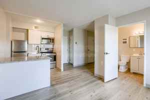 featured image of 7300 Graceland Dr #423